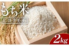 もち米 ヒヨクモチ 2kg 先行受付 - 国産 もち米 餅 モチ  もちもち おもち おこわ おはぎ ぼたもち お雑煮 赤飯 米 お米 アレンジ 調理 高知県 香南市 常温 at-0035