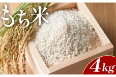 もち米 4kg(2kg×2) 先行受付 - 国産 餅 モチ  もちもち おもち おこわ おはぎ ぼたもち お雑煮 赤飯 米 お米 アレンジ 調理 高知県 香南市 常温 at-0036