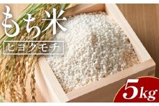 餅米 5kg 先行受付 もち米 ヒヨクモチ - 国産 餅 モチ  もち米 もちもち おもち おこわ おはぎ ぼたもち お雑煮 赤飯 米 お米 アレンジ 調理 高知県 香南市 常温 at-0037