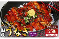 【12回定期便】国産 きざみうなぎ蒲焼き 5袋 たれ・山椒付き 合計60袋 Wss-0055