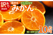 訳あり(家庭用) サイズお任せ 極早生みかん 10kg 3S〜Mサイズ - 訳アリ フルーツ 果物 くだもの 果実 甘い あまい 酸味 蜜柑 ミカン 柑橘 ご自宅用 旬 季節 かなや農園 合同会社Benifare 国産 特産品 高知県 香南市 常温 be-0101