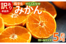 訳あり(家庭用) サイズお任せ 極早生みかん 5kg 3S〜Mサイズ - 訳アリ フルーツ 果物 くだもの 果実 甘い あまい 酸味 蜜柑 ミカン 柑橘 ご自宅用 旬 季節 かなや農園 合同会社Benifare 国産 特産品 高知県 香南市 常温 be-0098
