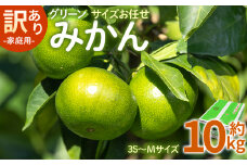 訳あり(家庭用) サイズお任せ グリーンみかん 10kg 3S～Mサイズ - ミカン 蜜柑 柑橘 果実 果物 フルーツ ご自宅用 ジューシー 果汁 フレッシュ 旬 季節 かなや農園 合同会社Benifare 国産 特産品 高知県 香南市 常温 be-0100