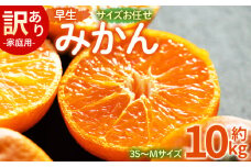 訳あり(家庭用) サイズお任せ 早生みかん 10kg 3S〜Mサイズ - 訳アリ フルーツ 果物 くだもの 果実 甘い あまい 酸味 蜜柑 ミカン 柑橘 ご自宅用 旬 季節 かなや農園 合同会社Benifare 国産 特産品 高知県 香南市 常温 be-0102