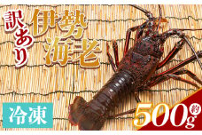 伊勢海老 計500g(1～2匹) 冷凍 - 訳あり 国産 エビ えび 海鮮 魚介 産地直送 プリプリ 味噌汁 刺身 焼き物 汁物 えび蔵 高知県 香南市 冷凍 10000円以上 1万円以上 eb-0004