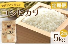 【定期便】愛情注いで育てたコシヒカリ 5kg 2回 合計10kg Wtd-0010