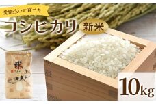 愛情注いで育てたコシヒカリの新米 10kg td-0009