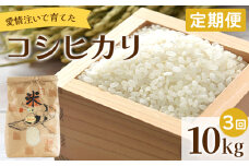 【定期便】愛情注いで育てたコシヒカリ 10kg 3回 合計30kg Wtd-0013
