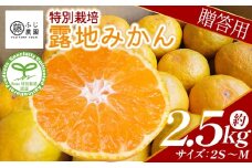 【特別栽培みかん】ふじ農園の露地みかん 贈答用 2.5kg (2S～M) - みかん 温州みかん 国産 蜜柑 ミカン 柑橘 果物 フルーツ 贈答 プレゼント ギフト 贈り物 ふじ農園 高知県 香南市 常温 fn-0001