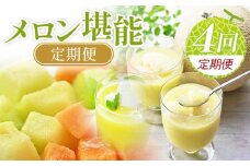 メロン 定期便 ４回 定期便 国産 マスクメロン 完熟 赤肉 青肉 家庭用 フルーツ 果物 ピューレ シャーベット 飲み物 飲料 フルーツジュース 篤農 高知県 香南市 常温 冷凍 Wtn-0042