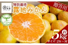 ふじ農園の露地みかん 贈答用 5kg (2S～M) - みかん 温州みかん 国産 蜜柑 ミカン 柑橘 果物 フルーツ 贈答 プレゼント ギフト 贈り物 ふじ農園 高知県 香南市 常温 fn-0002