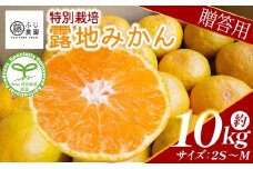 ふじ農園の露地みかん 贈答用 10kg (2S～M) - 国産 蜜柑 ミカン 柑橘 果物 フルーツ 贈答 プレゼント ギフト 贈り物 ふじ農園 高知県 香南市 常温 fn-0003
