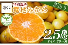 ふじ農園の露地みかん 訳あり品 2.5kg (2S～M) - 国産 蜜柑 ミカン 柑橘 果物 フルーツ 訳アリ ご家庭用 家庭用 自宅用 ふじ農園 高知県 香南市 常温 fn-0004