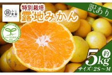ふじ農園の露地みかん 訳あり品 5kg (2S～M) - 国産 蜜柑 ミカン 柑橘 果物 フルーツ 訳アリ ご家庭用 家庭用 自宅用 ふじ農園 高知県 香南市 常温 fn-0005