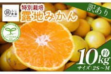 ふじ農園の露地みかん 訳あり品 10kg (2S～M) - 国産 蜜柑 ミカン 柑橘 果物 フルーツ 訳アリ ご家庭用 家庭用 自宅用 ふじ農園 高知県 香南市 常温 fn-0006