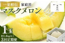 【３回定期便】一果相伝マスクメロン 家庭用 1玉入り- めろん 青肉 自宅用 ジューシー 果汁 至福 美味しい 甘い あまい 篤農 産地直送 高知県 香南市 常温 Wtn-0038