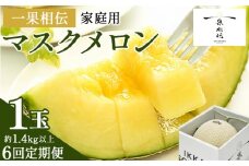 【６回定期便】一果相伝マスクメロン 家庭用 1玉入り- めろん 青肉 自宅用 ジューシー 果汁 至福 美味しい 甘い あまい 篤農 産地直送 高知県 香南市 常温 Wtn-0039