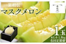 【６回定期便】一果相伝マスクメロン 1玉入り - めろん 青肉 果物 くだもの フルーツ 贈答用 贈答品 贈り物 ギフト お礼 御礼 感謝 お祝い 御祝い 産地直送 新鮮 篤農 高知県 香南市 常温 Wtn-0041