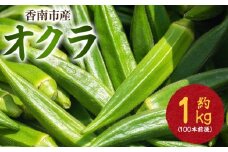 オクラ1kg(100本前後) - おくら オクラ 野菜 やさい 夏野菜 新鮮 朝どれ 朝採れ 朝収穫 季節 旬 露地栽培 国産 香南市産 おきゃんぴー農園 高知県 香南市 冷蔵 on-0028