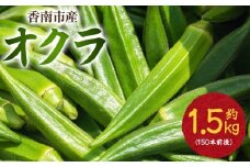 オクラ1.5kg(150本前後) - おくら 野菜 やさい 新鮮 朝どれ 朝採れ 朝収穫 季節 旬 露地栽培 国産 香南市産 おきゃんぴー農園 高知県 香南市 冷蔵 on-0029