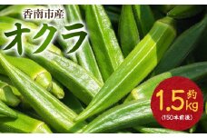 オクラ1.5kg(150本前後) - おくら 野菜 やさい 新鮮 朝どれ 朝採れ 朝収穫 季節 旬 露地栽培 国産 香南市産 おきゃんぴー農園 高知県 香南市 冷蔵 on-0029