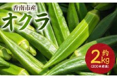 オクラ2kg(200本前後) - おくら 野菜 やさい 新鮮 朝どれ 朝採れ 朝収穫 季節 旬 露地栽培 国産 香南市産 おきゃんぴー農園 高知県 香南市 冷蔵 on-0030