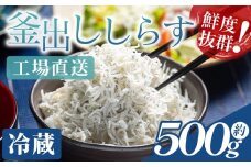 【冷蔵】釜出ししらす(ちりめん) 約500g - しらす 国産 ちりめん しらす シラス 稚魚 魚介 魚 海産物 釜茹で ドロメ サラダ 和え物 アレンジ 料理 ご飯のお供 三浦屋海産 高知県 香南市 冷蔵 mu-0009
