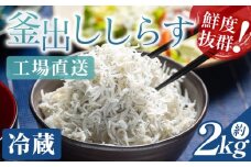 【冷蔵】釜出ししらす(ちりめん) 約2kg - しらす シラス ｼﾗｽ 国産 ちりめん しらす シラス 稚魚 魚介 魚 海産物 釜茹で ドロメ サラダ 和え物 アレンジ 料理 ご飯のお供 三浦屋海産 高知県 香南市 冷蔵 mu-0011