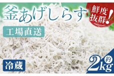 【冷蔵】釜あげしらす(ちりめん) 約2kg - 国産 ちりめん しらす シラス 稚魚 魚介 魚 海産物 天日干し 釜茹で ドロメ サラダ 和え物 アレンジ 料理 ご飯のお供 三浦屋海産 高知県 香南市 冷蔵 mu-0017