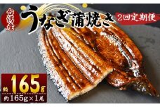 【２回定期便】養殖うなぎ蒲焼き 約165g×１尾(台湾産鰻) - 鰻 ウナギ 養殖 かばやき タレ付き たれ おつまみ スタミナ 土用の丑の日 うな丼 うな重 丼ぶり 一品 おかず 高知県 香南市 冷凍 Wfb-0093