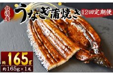 【１２回定期便】養殖うなぎ蒲焼き 約165g×１尾(台湾産鰻) - 鰻 ウナギ 養殖 かばやき タレ付き たれ おつまみ スタミナ 土用の丑の日 うな丼 うな重 丼ぶり 一品 おかず 高知県 香南市 冷凍 Wfb-0096