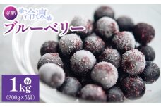 完熟 冷凍ブルーベリー 約1kg(200g×5袋) - ブルーベリー 冷凍ブルーベリー ﾌﾞﾙｰﾍﾞﾘｰ フルーツ 果物 くだもの おやつ スイーツ デザート スムージー ヨーグルト ジャム 国産 高知県産 柳本果樹園 高知県 香南市 冷凍 yg-0028