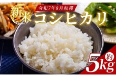 コシヒカリ 5kg どぶろく工房香南 新米 コシヒカリ(令和7年8月収穫) - 国産 高知県産 精米 白米 お米 米 こめ コメ こしひかり ご飯 ごはん おにぎり 食品 どぶろく工房香南 高知県 香南市 常温 db-0039