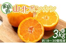 山北ポンカン 家庭用 3kg(約18～30個程度) - ぽんかん ﾎﾟﾝｶﾝ 果物 フルーツ 柑橘類 ぽんかん ミカン 蜜柑 訳アリ わけあり 生産者応援 甘い おいしい 美味しい 山北みらい 高知県 香南市 yk-0055