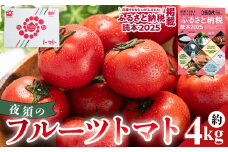 【2026年出荷分】フルーツトマト 4kg 【旅サラダに取り上げられました！】高知県 夜須のフルーツトマト - 高糖度 期間限定 季節限定 野菜 やさい フルティカ 完熟 小ぶり 小さめ 糖度 熨斗 のし対応可 贈り物 おやつ サラダ フレッシュ 新鮮 ﾄﾏﾄ 産地直送 高知県 香南市 yu-0019