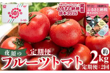 【2回定期便】夜須のフルーツトマト 約2kg×2回(合計4kg)【旅サラダに取り上げられました！】 高知県 夜須のフルーツトマト トマト定期便 高糖度 人気 ランキング 高知 甘い 夜須 高品質 - フルーツトマト トマト 贈り物 ご褒美 野菜 おかず サラダ Wyu-0026