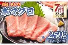本まぐろ 中トロ 約250ｇ 1冊 養殖 -  鮪 まぐろ 中とろ 寿司 刺身 さしみ 海鮮丼 漬け丼 カルパッチョ おつまみ 新鮮 海産物 魚介 海の幸 スピード発送 オオジ 高知県 香南市 冷凍 oo-0012