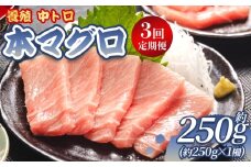 中トロ 定期便 3回 約250g 1冊 養殖 本マグロ 合計750g - 鮪 まぐろ 中とろ 寿司 刺身 さしみ 海鮮丼 漬け丼 カルパッチョ おつまみ 新鮮 海産物 魚介 海の幸 オオジ 高知県 香南市 冷凍 Woo-0014