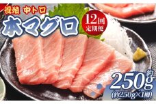 中トロ 定期便 12回 約250g 1冊 養殖 本マグロ 合計3kg - 鮪 まぐろ 中とろ 寿司 刺身 さしみ 海鮮丼 漬け丼 カルパッチョ おつまみ 新鮮 海産物 魚介 海の幸 オオジ 高知県 香南市 Woo-0016