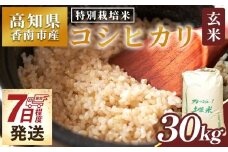 【7日程度で発送】特別栽培米 コシヒカリ 玄米 30kg 新米 白米 コシヒカリ 米 お米 おこめ こしひかり 玄米 ごはん おにぎり おむすび ご飯 農業公社 高知県 香南市 常温 nu-0005