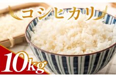 コシヒカリ 計１０kg ga-0007