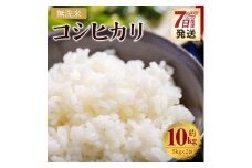 無洗米 コシヒカリ 10kg cs-0001