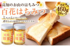 昔ながらの製法の土佐はちみつ2本セット 百花はちみつ230g×2本 ハチミツ 蜂蜜 ハニー 天然 天然はちみつ 天然蜂蜜 産地直送