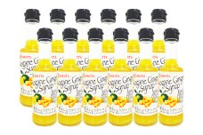 ジンジャーシロップ 200ml×12本