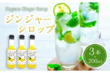 ジンジャーシロップ 200ml×3本