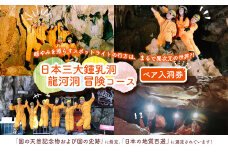 【日本三大鍾乳洞】龍河洞 冒険コース 《ペア入洞券》 チケット 体験 冒険 鍾乳洞 洞窟 地下 観光 歴史 自然