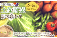旬の朝採れ土佐野菜詰め合わせ（10～13品目）詰め合わせ 野菜セット 野菜 ギフト やさいセット お取り寄せグルメ 家庭用 旬野菜 新鮮 特産 農薬不要 食材