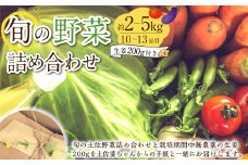 旬の野菜の詰め合わせと栽培期間中 農薬不使用の生姜200g付き 詰め合わせ 野菜セット 野菜 ギフト やさいセット お取り寄せグルメ 家庭用 旬野菜 新鮮 特産 農薬不要 食材