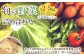 旬の野菜の詰め合わせと栽培期間中 農薬不使用の生姜200g付き