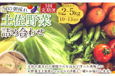 【定期便3回】旬の朝採れ土佐野菜詰め合わせ（10～13品目）詰め合わせ 野菜セット 野菜 ギフト やさいセット お取り寄せグルメ 家庭用 旬野菜 新鮮 特産 農薬不要 食材